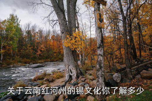 關(guān)于云南紅河州的錫文化你了解多少