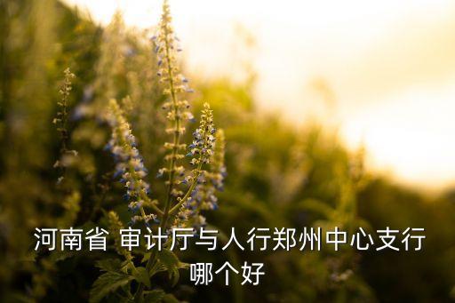  河南省 審計廳與人行鄭州中心支行哪個好