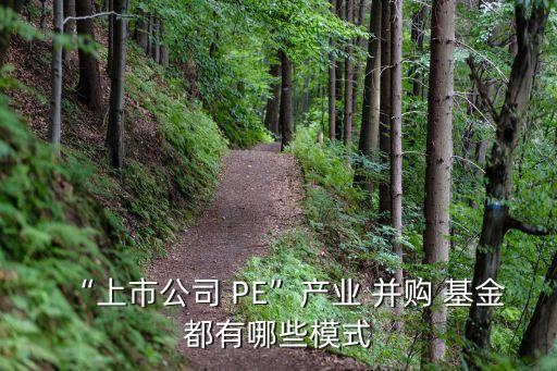 “上市公司 PE”產(chǎn)業(yè) 并購 基金都有哪些模式