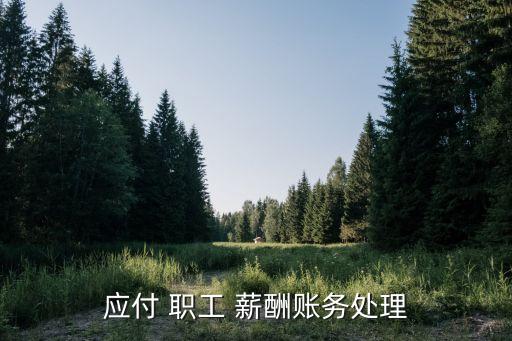 應(yīng)付 職工 薪酬賬務(wù)處理