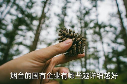  煙臺的國有企業(yè)有哪些越詳細(xì)越好