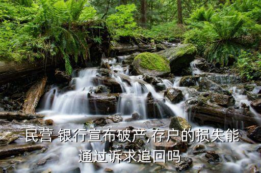  民營(yíng) 銀行宣布破產(chǎn),存戶的損失能通過訴求追回嗎