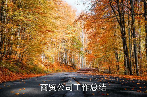 貿(mào)易分公司年度報告表,中國貿(mào)易便利化年度報告