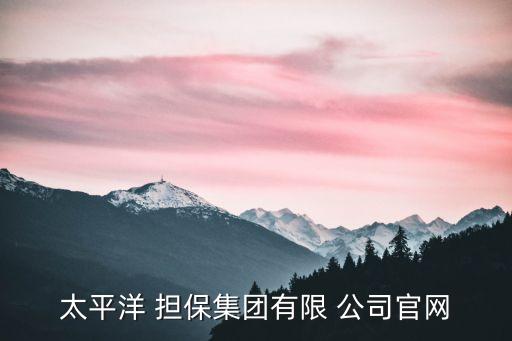 太平洋 擔(dān)保集團有限 公司官網(wǎng)