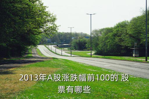 2013年A股漲跌幅前100的 股票有哪些