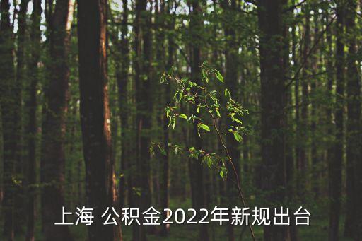  上海 公積金2022年新規(guī)出臺(tái)