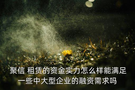  聚信 租賃的資金實力怎么樣能滿足一些中大型企業(yè)的融資需求嗎