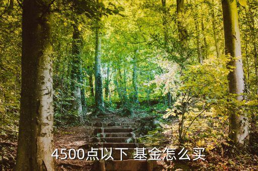 4500點(diǎn)以下 基金怎么買(mǎi)