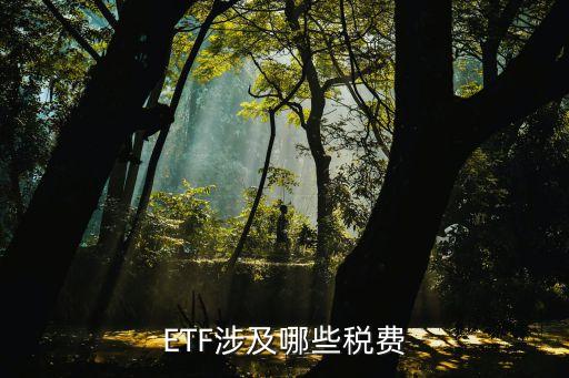 etf基金紅利稅,基金etf交易規(guī)則及費用