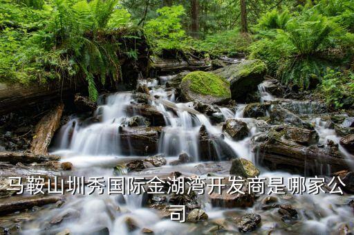 馬鞍山市高運(yùn)置業(yè)有限公司