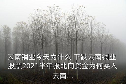 云南銅業(yè)今天為什么 下跌云南銅業(yè) 股票2021半年報北向資金為何買入云南...