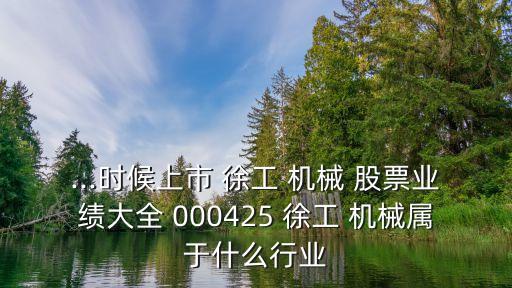 ...時候上市 徐工 機械 股票業(yè)績大全 000425 徐工 機械屬于什么行業(yè)