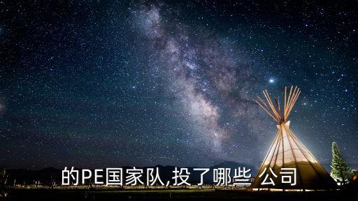 的PE國(guó)家隊(duì),投了哪些 公司