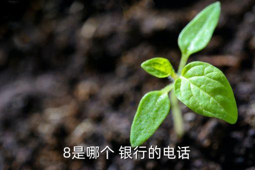 8是哪個 銀行的電話