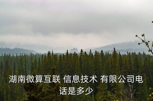 長(zhǎng)沙華訊易尚信息技術(shù)有限公司