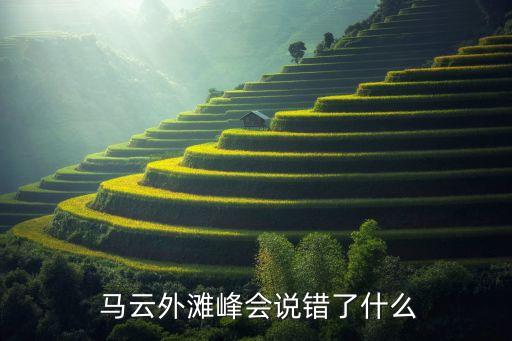  馬云外灘峰會(huì)說錯(cuò)了什么