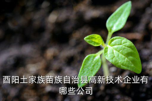 酉陽(yáng)土家族苗族自治縣高新技術(shù)企業(yè)有哪些公司