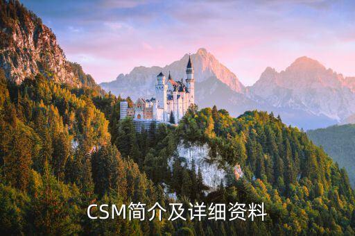 CSM簡介及詳細(xì)資料