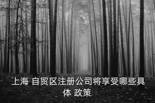  上海 自貿(mào)區(qū)注冊(cè)公司將享受哪些具體 政策