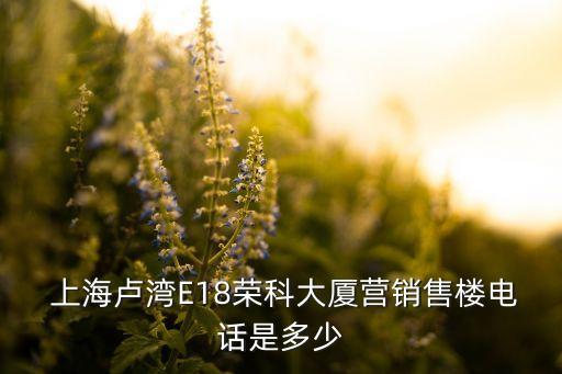  上海盧灣E18榮科大廈營銷售樓電話是多少