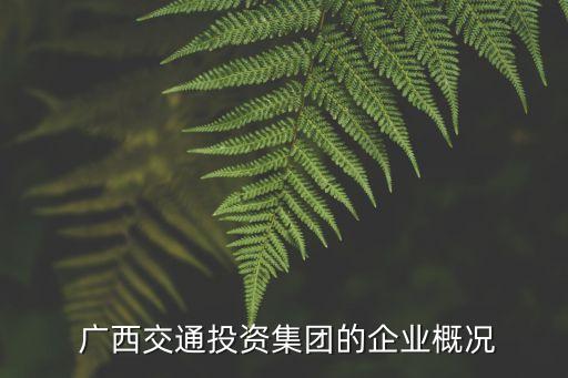 廣西梧州新港鐵路投資有限公司,新港投資集團有限公司