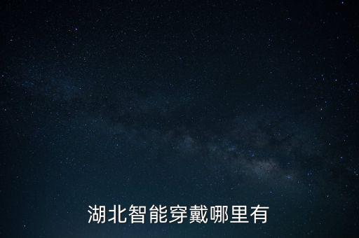 湖北智能穿戴哪里有