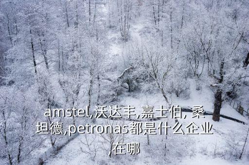 amstel,沃達豐,嘉士伯, 桑坦德,petronas都是什么企業(yè),在哪