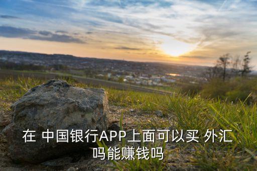 在 中國銀行APP上面可以買 外匯嗎能賺錢嗎