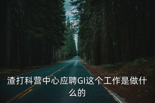 渣打科營中心應(yīng)聘GI這個(gè)工作是做什么的