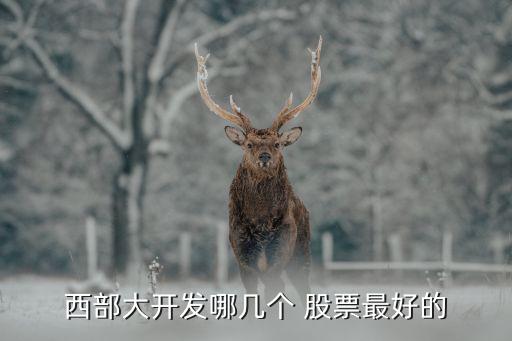 西部大開發(fā)哪幾個(gè) 股票最好的