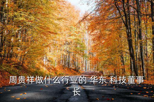 周貴祥做什么行業(yè)的 華東 科技董事長