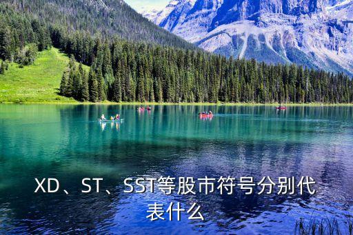 XD、ST、SST等股市符號分別代表什么