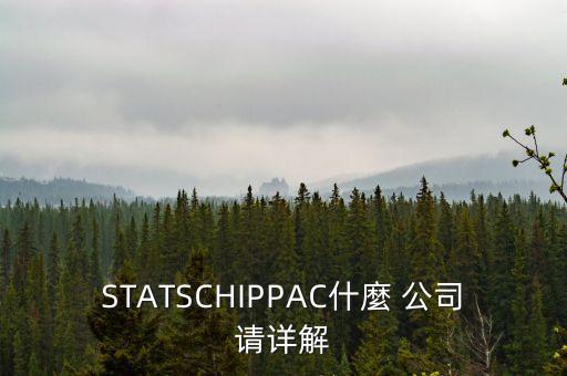 STATSCHIPPAC什麼 公司請詳解