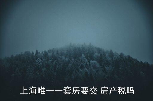  上海唯一一套房要交 房產(chǎn)稅嗎