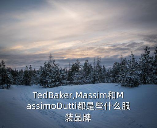 TedBaker,Massim和MassimoDutti都是些什么服裝品牌