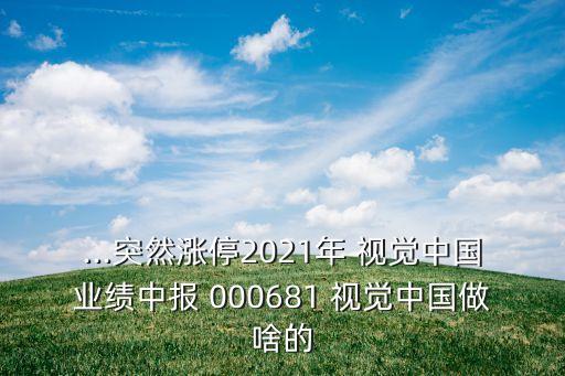 ...突然漲停2021年 視覺中國業(yè)績中報(bào) 000681 視覺中國做啥的