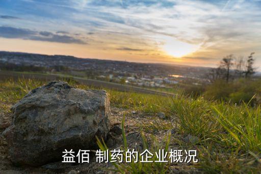 貴州柏強(qiáng)制藥股份有限公司地址