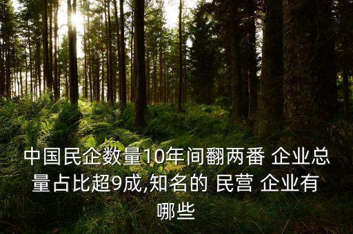 中國民企數(shù)量10年間翻兩番 企業(yè)總量占比超9成,知名的 民營 企業(yè)有哪些