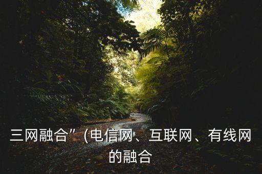 三網(wǎng)融合”(電信網(wǎng)、互聯(lián)網(wǎng)、有線網(wǎng)的融合