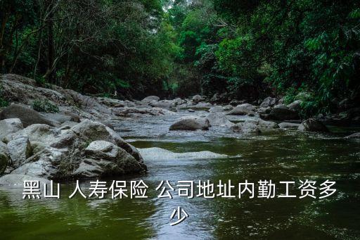 黑山 人壽保險(xiǎn) 公司地址內(nèi)勤工資多少