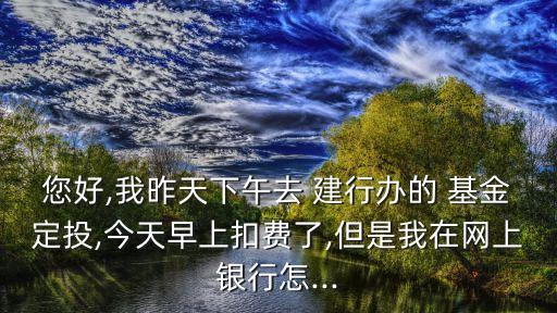 您好,我昨天下午去 建行辦的 基金定投,今天早上扣費了,但是我在網上銀行怎...