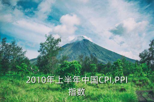 2010年上半年中國CPI,PPI指數(shù)