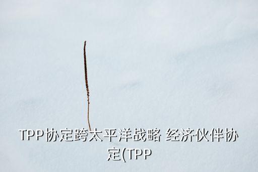 TPP協(xié)定跨太平洋戰(zhàn)略 經(jīng)濟(jì)伙伴協(xié)定(TPP