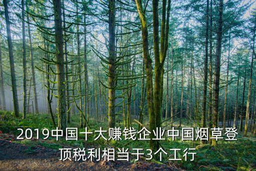 2019中國十大賺錢企業(yè)中國煙草登頂稅利相當(dāng)于3個工行