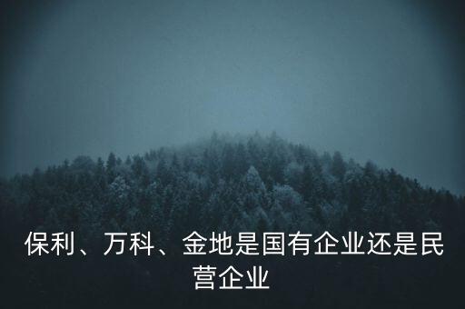  保利、萬科、金地是國有企業(yè)還是民營企業(yè)