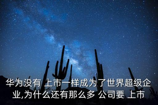 華為沒有 上市一樣成為了世界超級(jí)企業(yè),為什么還有那么多 公司要 上市