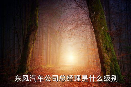 東風(fēng)集團是央企嗎,永不倒閉的10大央企