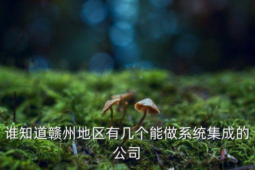 誰知道贛州地區(qū)有幾個能做系統(tǒng)集成的公司