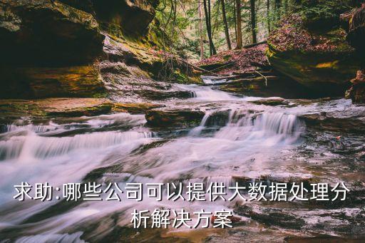 求助:哪些公司可以提供大數(shù)據處理分析解決方案