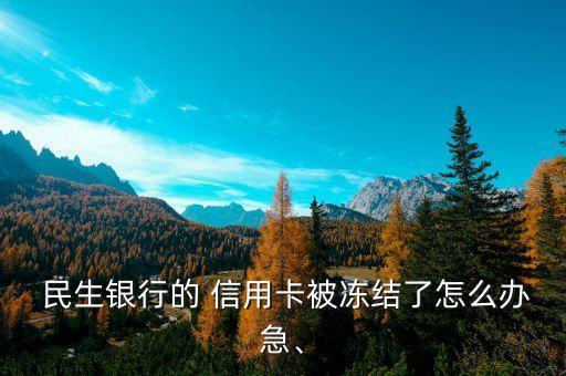  民生銀行的 信用卡被凍結(jié)了怎么辦急、